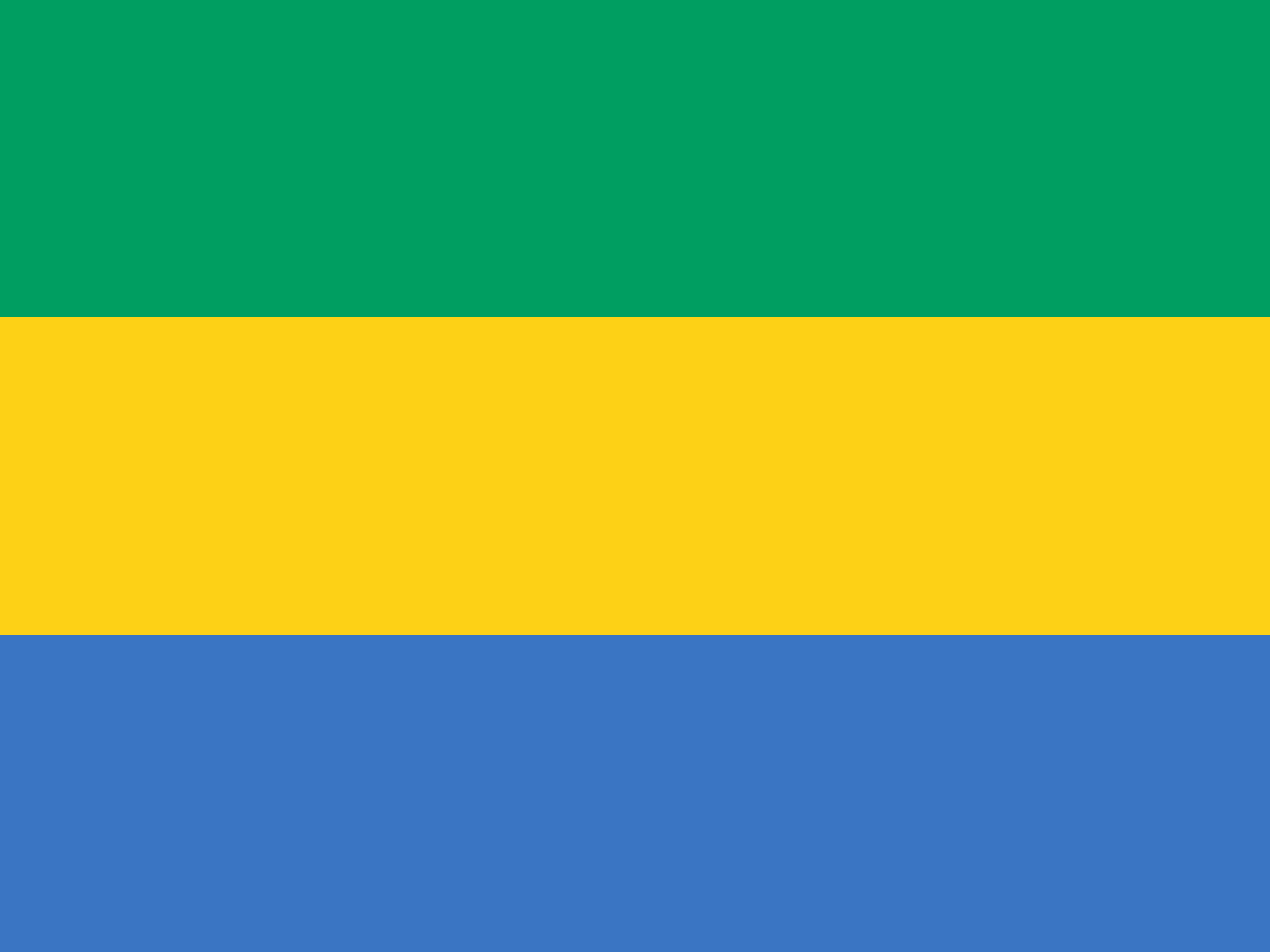 Gabon Flag - Fabplaces 