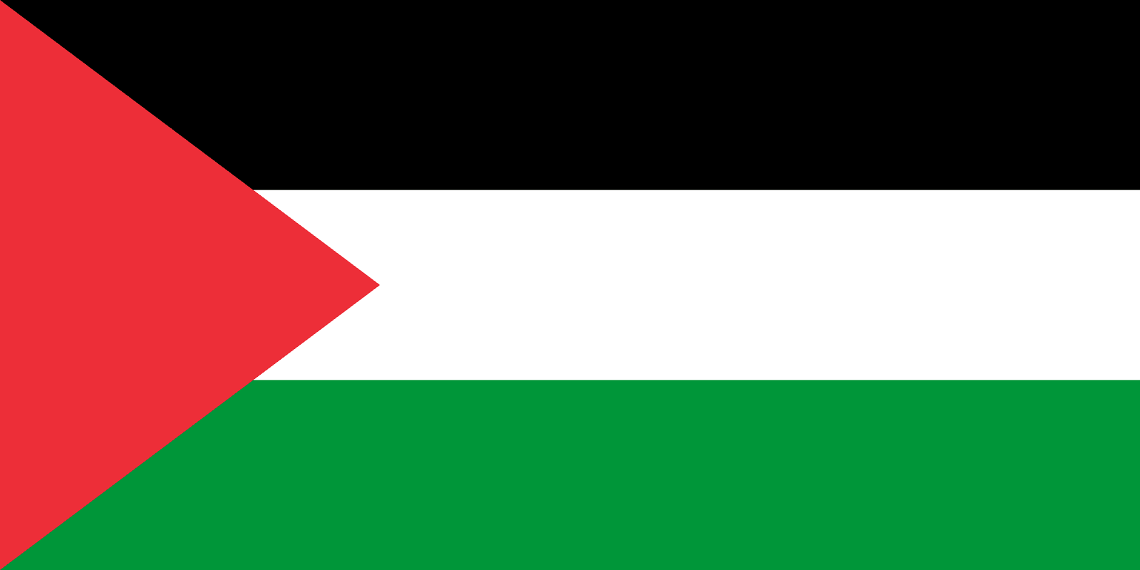 State of Palestine Flag - Fabplaces 